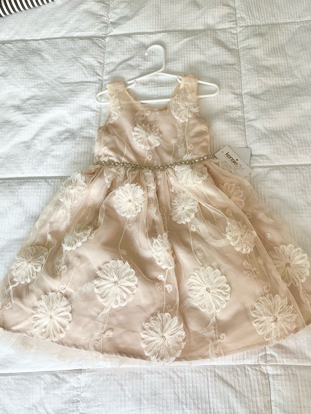 New Kensie Girl Champagne Floral & Rhinestone Embellished Party Dress, 6